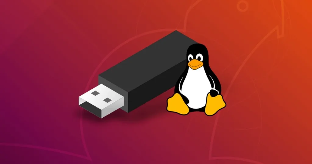 Ubuntu Linux Penna USB di installazione
